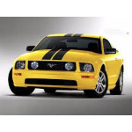 Mustang (2005-2014)     