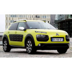 C4 Cactus (2014 -...) 