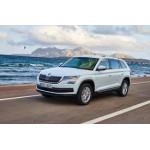  KODIAQ (2017- ...)    
