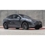  Model Y Performance (2019 -...)  